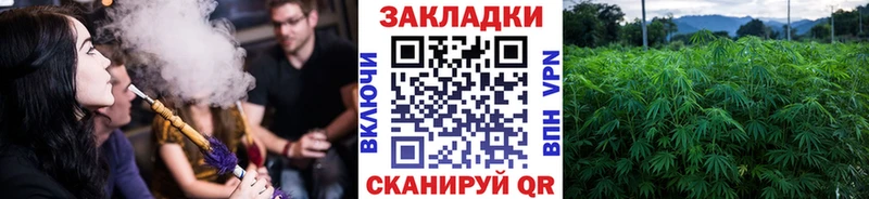 Виды наркотиков купить Верхняя Пышма COCAIN Меф мяу мяу A PVP АМФ МАРИХУАНА