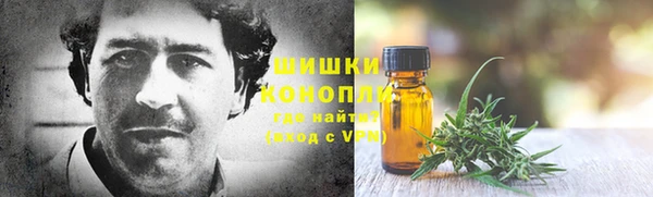 трава Аркадак