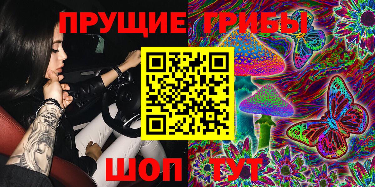 Верхняя Пышма  Галлюциногенные грибы Cubensis  Вход с VPN 